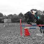 The Horse and his Girl